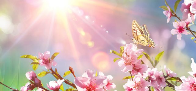 Reiseüberraschungspaket im Frühling