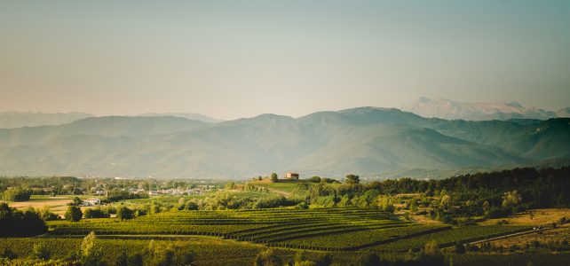 Goldener September im Friuli: Kleine Region mit ganz viel Geschmack
