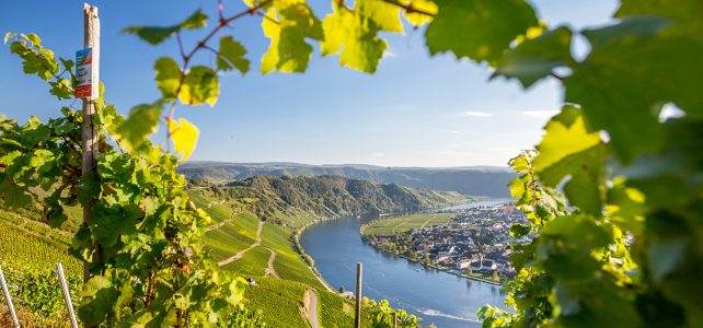 All Inclusive an der romantischen Mosel